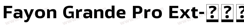 Fayon Grande Pro Ext字体转换